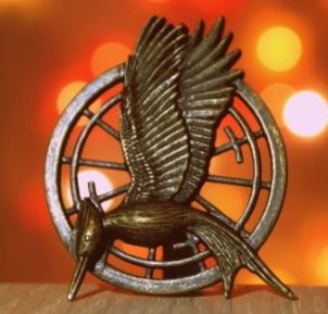 Hunger Games diagram of the preamble 