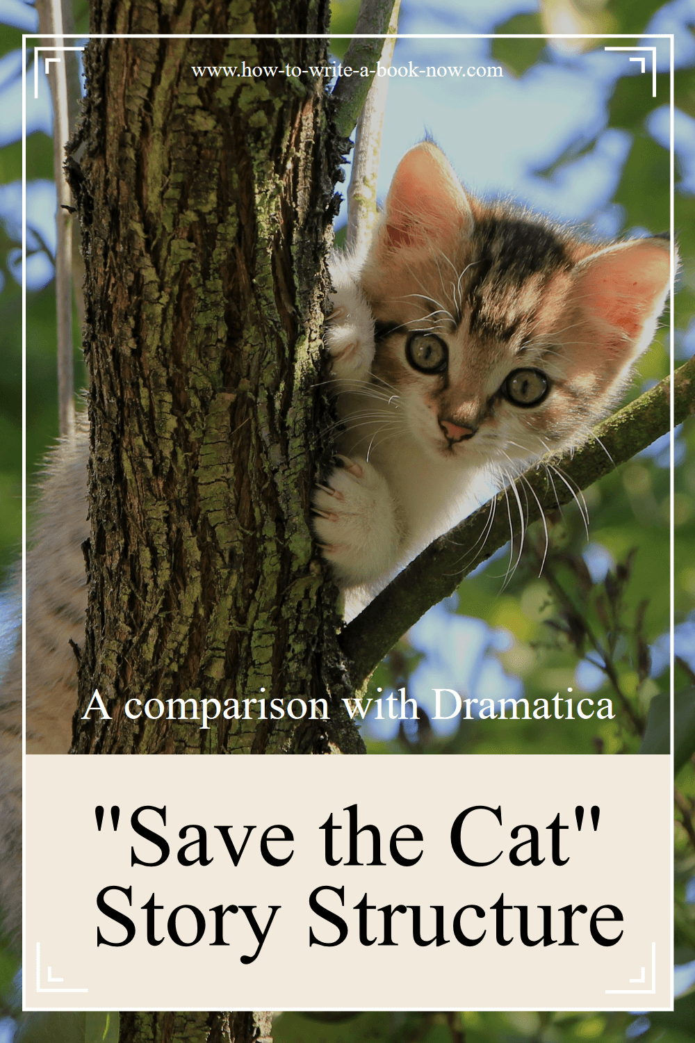 Save the Cat Story Structure