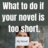 novel too short